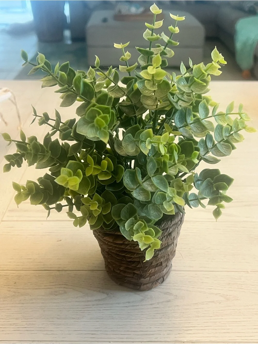 Artificial Green Eucalyptus Plant in Brown Handwoven Coiled Pot